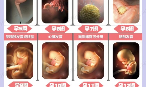 糖尿病病人能吃营养粉吗-糖尿病病人能吃营养粉吗专区_全营养蛋白粉的功效与作用专区_全营养蛋白质粉糖尿病人能吃吗网